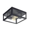 Alamonte 1 2LT Exterior Close to Ceiling Light