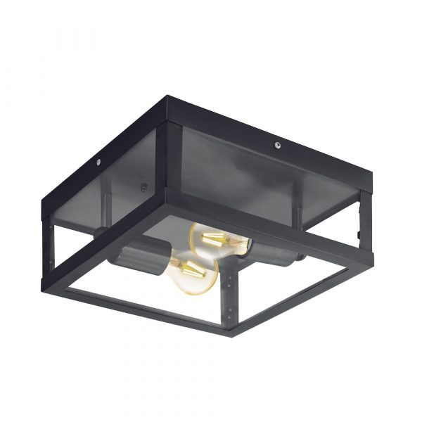 Alamonte 1 2LT Exterior Close to Ceiling Light