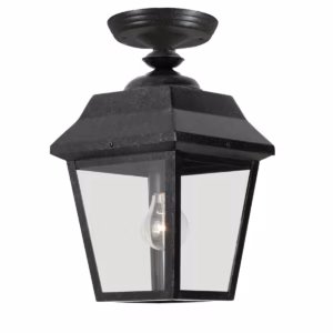 Farlight Outdoor Ceiling Light