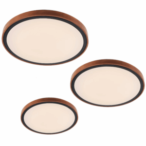 Orlin LED Oyster Light