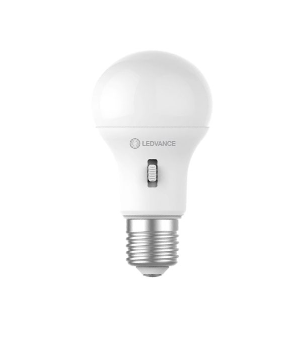 LED Globes